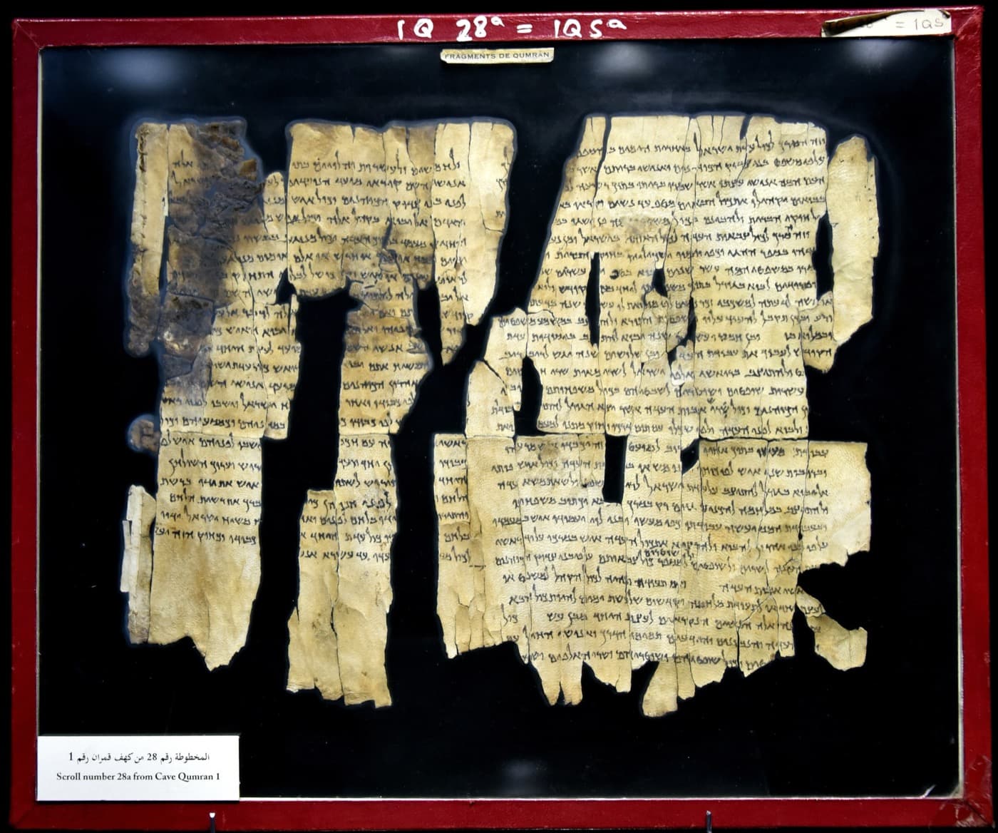 Torn leather fragments of a Dead Sea Scroll with Hebrew writing, mounted in a red display frame