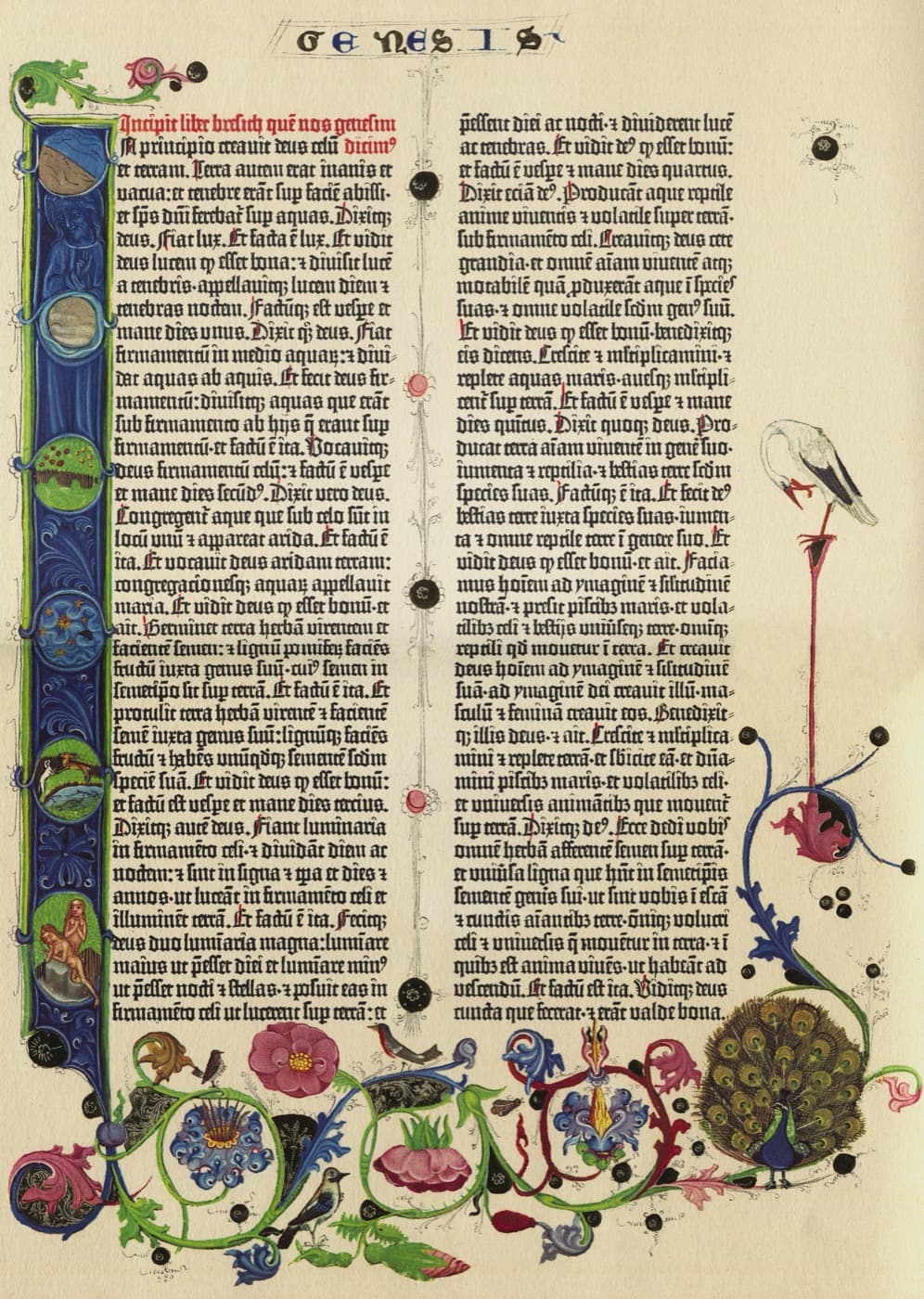 The first page of Genesis in a Gutenberg Bible, two columns of black type with painted vines, birds, and a peacock in the margins